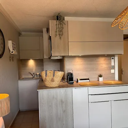 Appartement Terrasse Face A La Mer, Proche De Tout,climatise Au Calme *