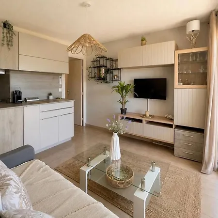 Terrasse Face A La Mer, Proche De Tout,climatise Au Calme Apartmán